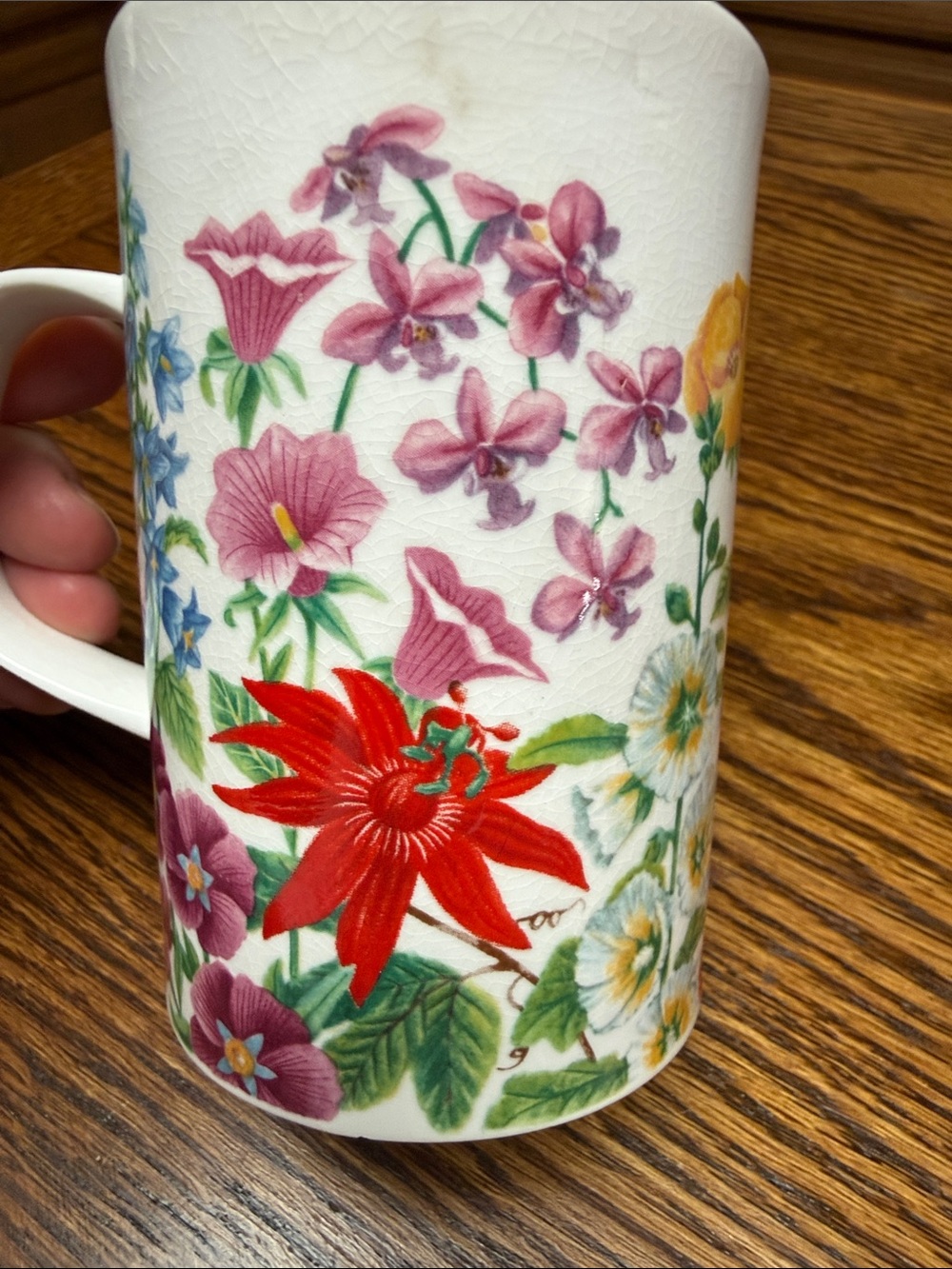 Vintage Dunoon Fine Bone Cup Botanical Red and Pink Floral Design